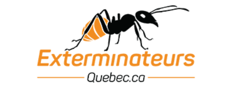 Chiko show - Maxime - exterminateursqc.ca